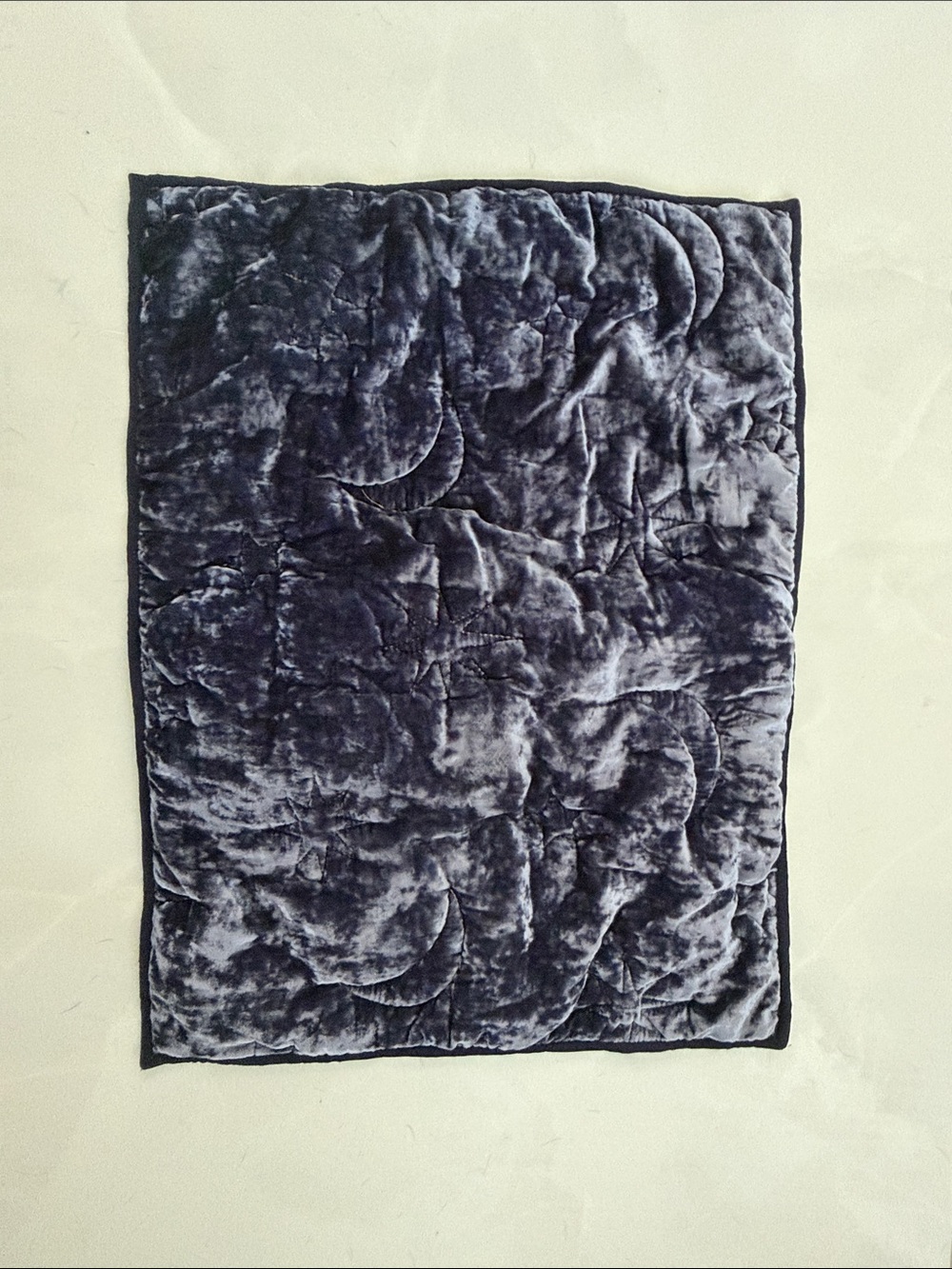 Pottery Barn Teen Velvet Quilted Harry Potter pillow sham navy